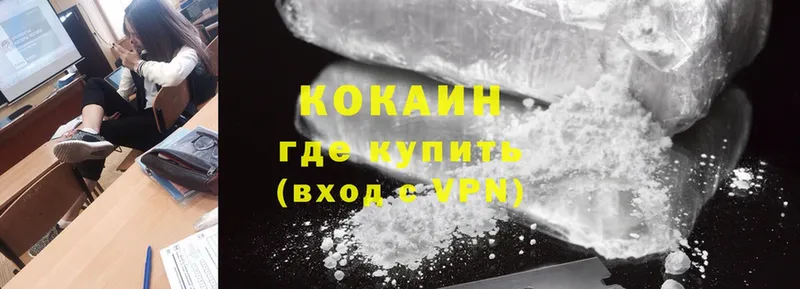 продажа наркотиков  Кызыл  COCAIN Fish Scale 